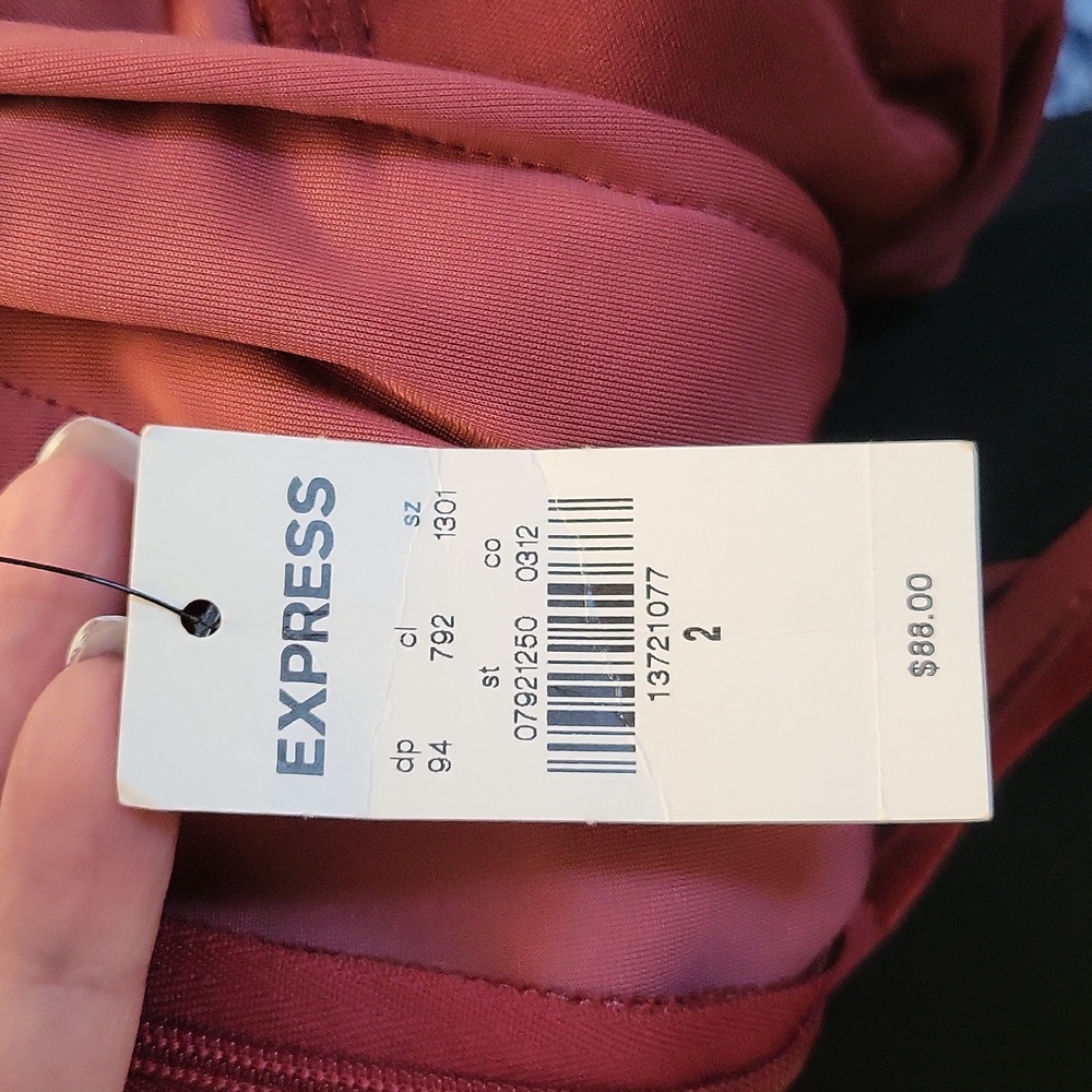 Express Velvet Burgundy Jumpsuit - Picture 10 of 11